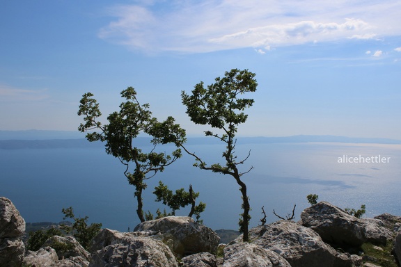 Dalmatische Küste